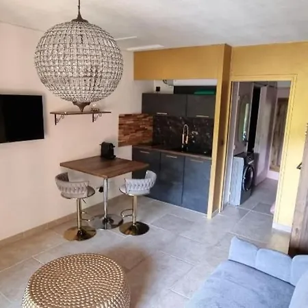 Beau Studio, Moderne, Au Calme Avec Piscine Et Parking Prive Dans Arboree Apartment *